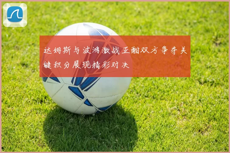 达姆斯与波鸿激战正酣双方争夺关键积分展现精彩对决