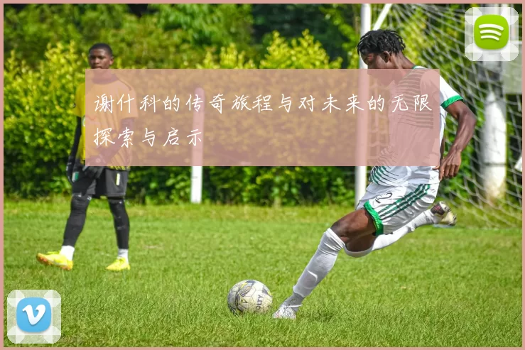 谢什科的传奇旅程与对未来的无限探索与启示