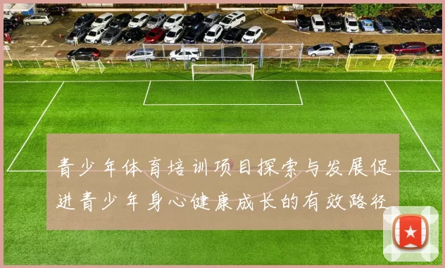 青少年体育培训项目探索与发展促进青少年身心健康成长的有效路径